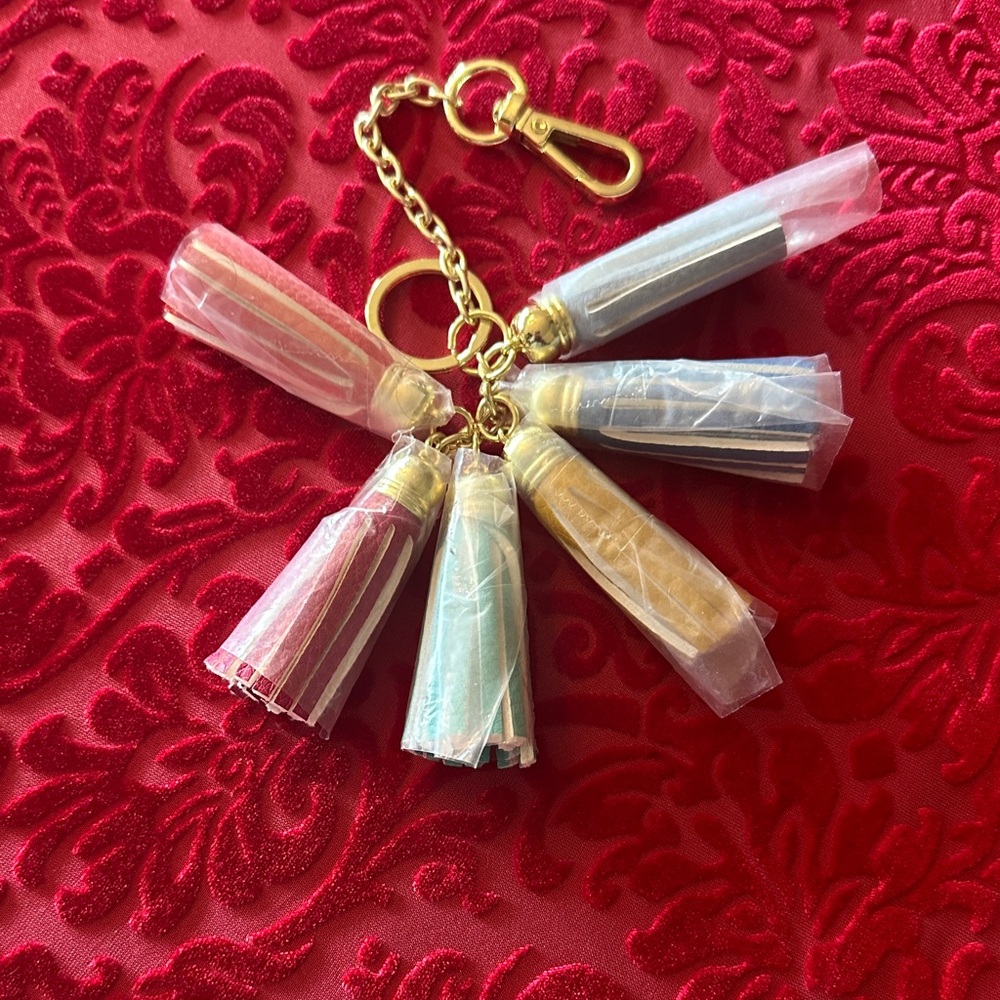 Tassel purse charm key chain